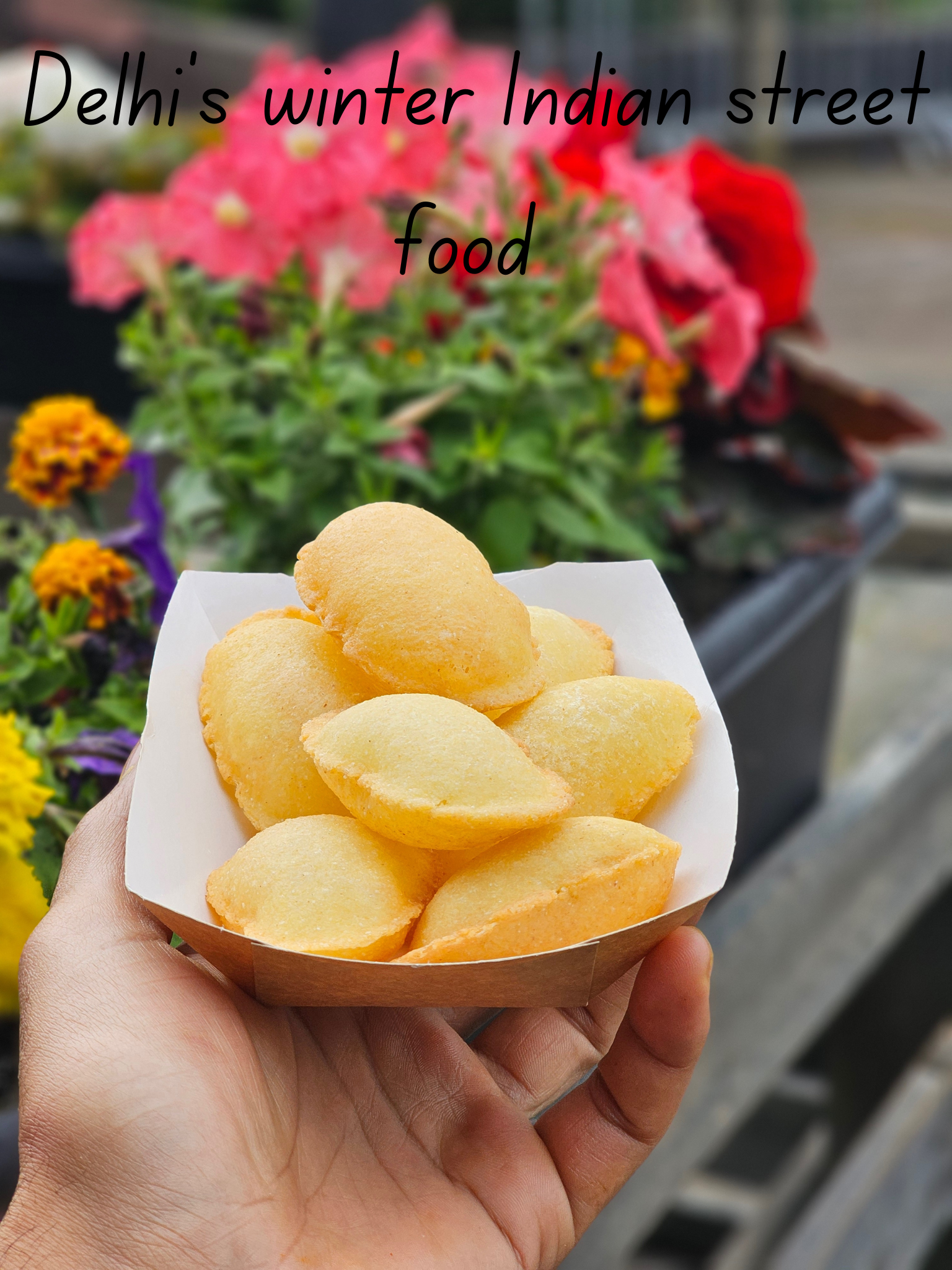 Delhi’s winter photo 1