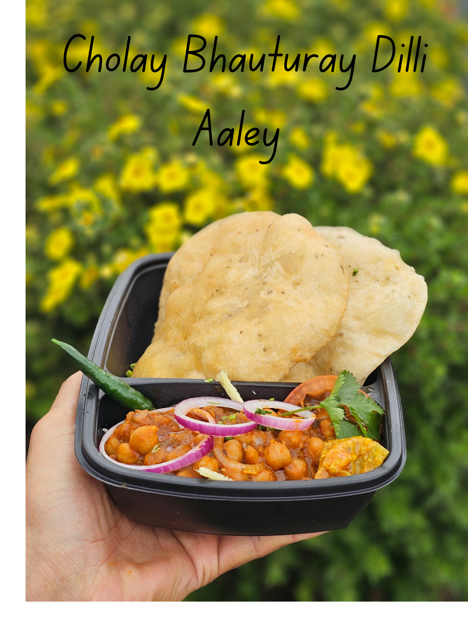 Delhi’s winter photo 2